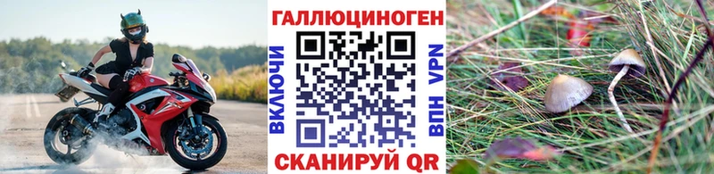 Купить  Бабаево  Псилоцибиновые грибы Psilocybine cubensis 