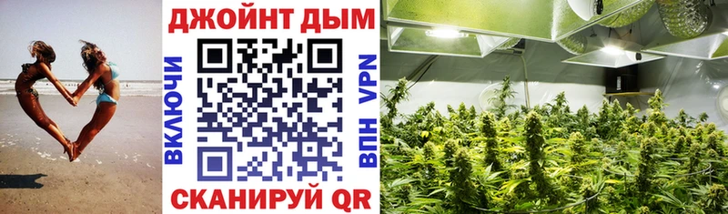 МАРИХУАНА SATIVA & INDICA  Купить закладки  Бабаево 